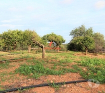 Terrenos Faro - Fotos para Casa de campo com 5300m2